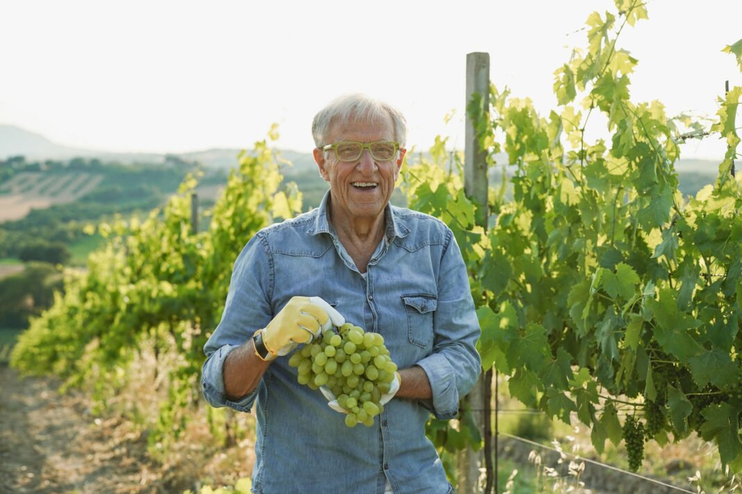 Plein Champ - production agricole